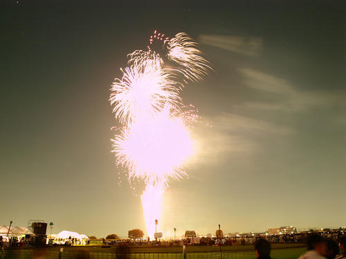 _8213835lk_color2.jpg