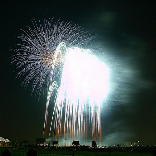 _8213881lk_color2_trm6to6_ss100.jpg