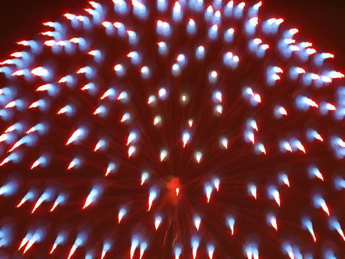 _8294377lk_color2_0.6ev.jpg