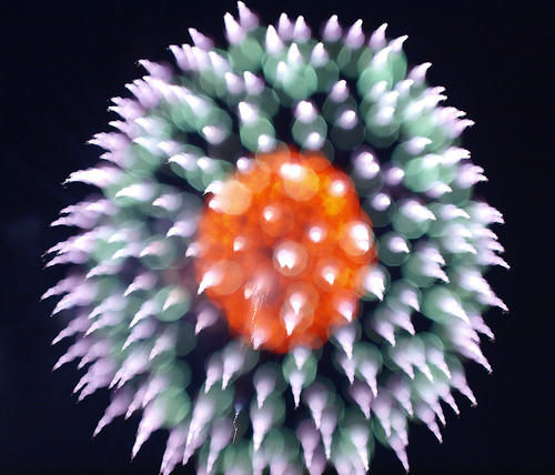 _8294415lk_color2_1.6ev_3000k_rd6_grn-6_trm7to6_ss100.jpg