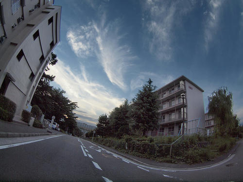_A035917orgn_cve_ss50.jpg