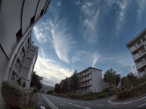 _A035919orgn_slcve_ss50_2.jpg