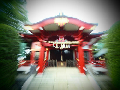 _A035933tf_lk_color-2_1.4ev_ss70_cve.jpg