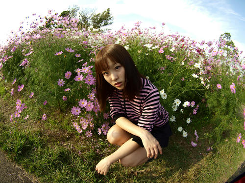 _A166373lk_color2_0.4ev_7500k_rd-7.jpg