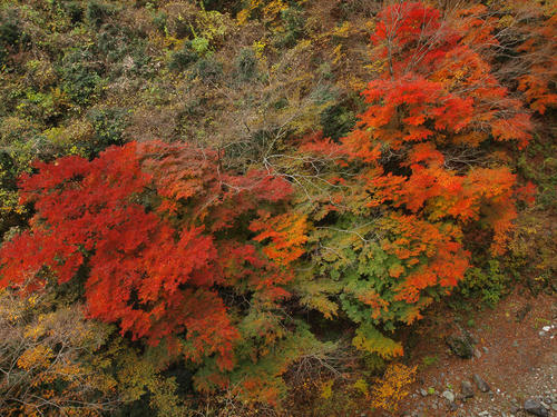 _B237122_color2_d.jpg