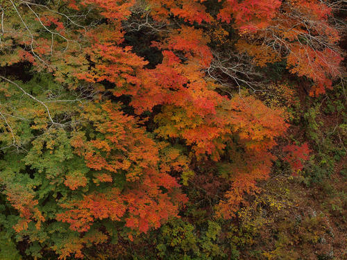 _B237165_color2_0.4ev_b.jpg