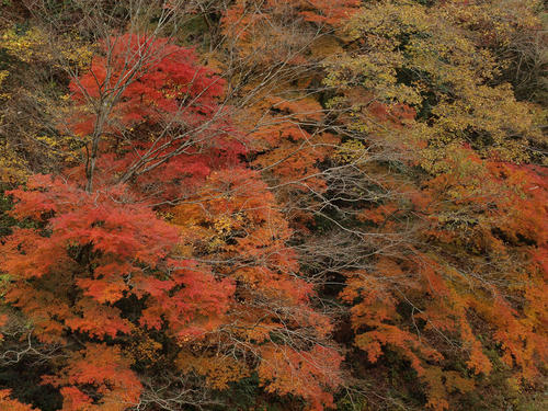 _B237185_color2_b.jpg