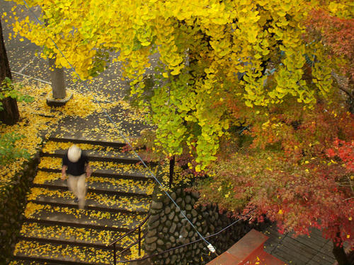 _B237314_color2_0.6ev_7500k_b.jpg