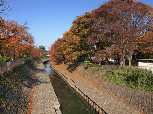 _B277398_color2_b.jpg