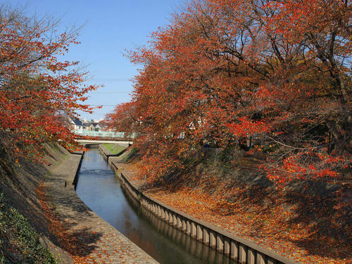 _B277401_color2_c.jpg