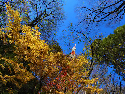 _C118293pa_flat_color-2_0.4ev_ss150.jpg