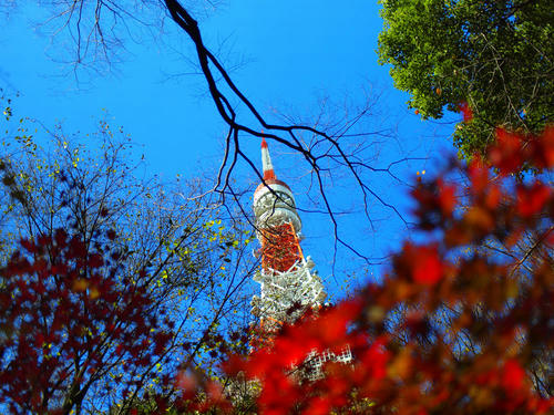 _C118357pa_color-1_5500k_rd-6_grn2_ss150.jpg