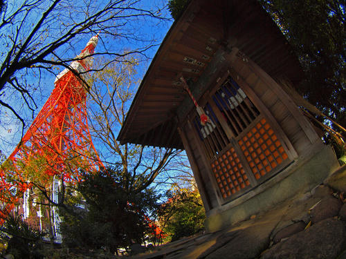 _C118631pa_color-2_0.4ev_5500k_ss150_b.jpg