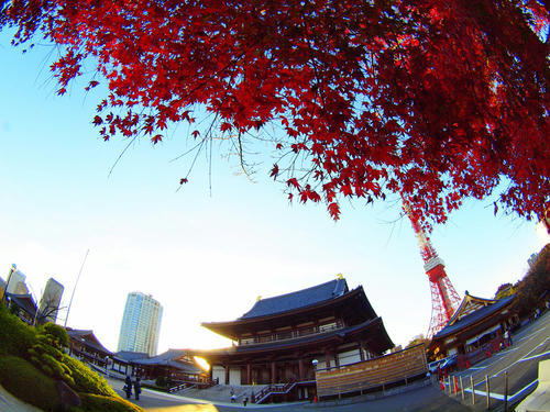 _C118909pa_color-2_1.2ev_5500k_rd-2.jpg