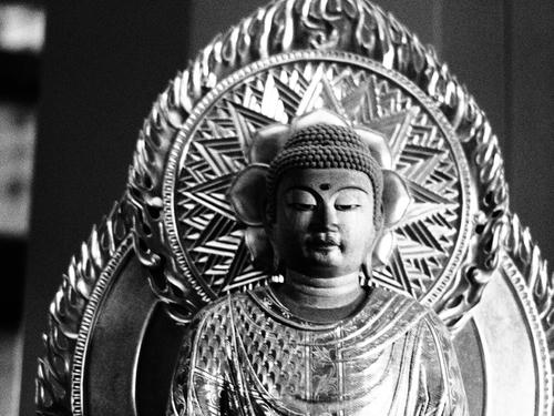 _1029960rm_lk_color2.jpg