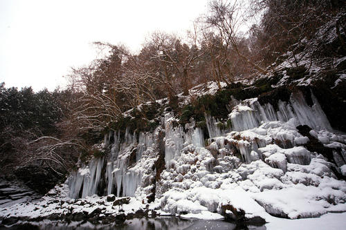 _MG_1733.jpg