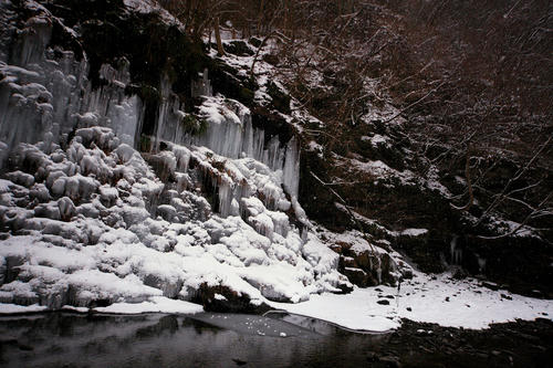 _MG_1737.jpg