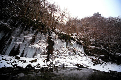 _MG_1739.jpg