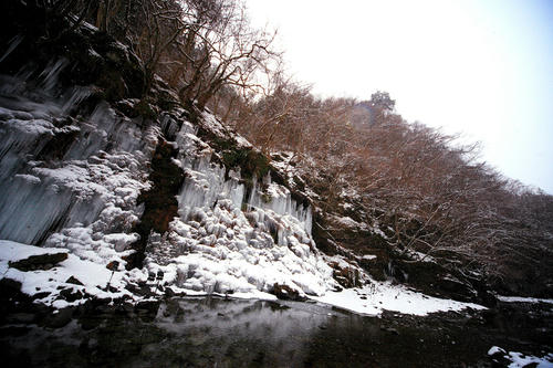 _MG_1741.jpg