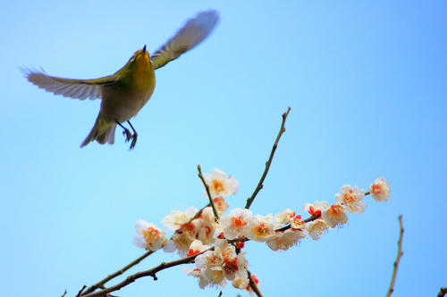 _MG_2576_trm.jpg