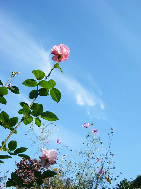 DSCF6030.jpg
