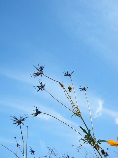 DSCF6032.jpg