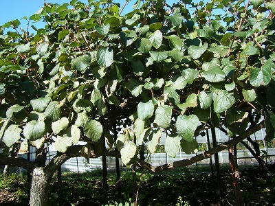 DSCF6059.jpg