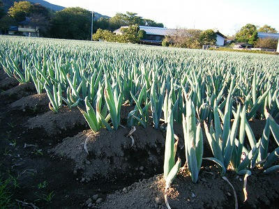 DSCF6062.jpg