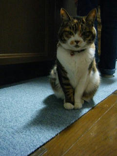 DSCF6115.jpg