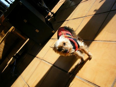 DSCF6274.jpg