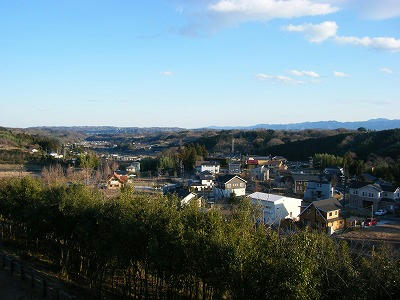 DSCF6275.jpg
