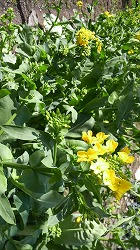 2010032210350001.jpg