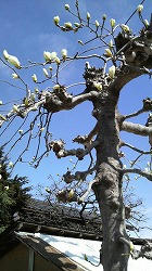 2010032210360000.jpg