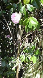 2010032210360001.jpg