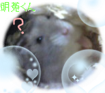 明菟君