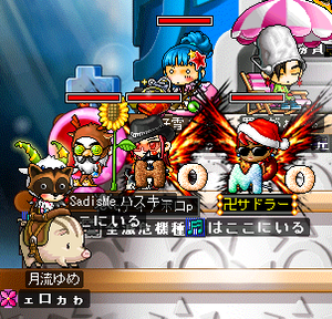 久しぶりのビシャス！
