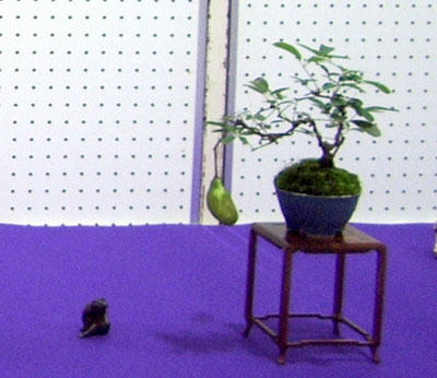 1026021.jpg