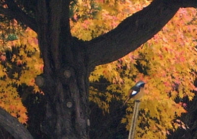 120401.jpg