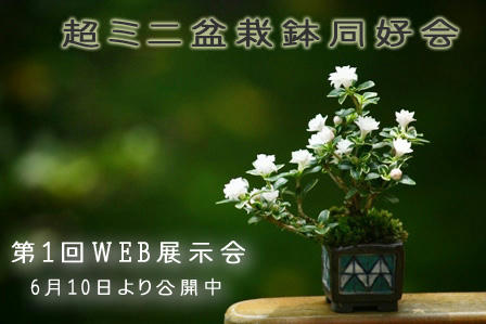 webexhibition01.jpg