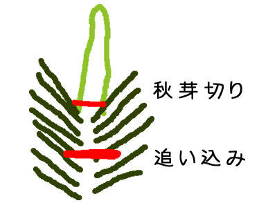 12062107.jpg