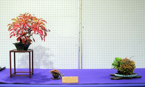 12102401.jpg