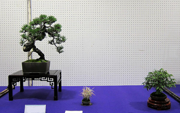 k0412102501.jpg