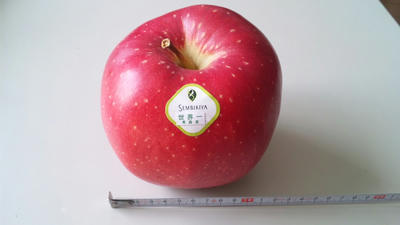 apple