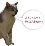 20111103-1.jpg