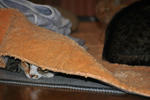 20111121-1.jpg