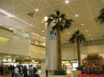 tmairport01.jpg