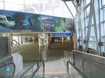 new_wryo09.jpg