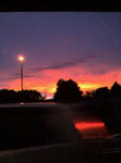 080727_1900~0001.jpg