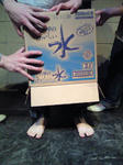 201005122137000.jpg