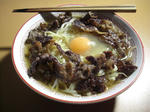 CIMG0126.JPG